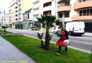 2068- Povoa de Varzim